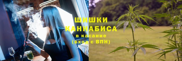 крисы Абдулино