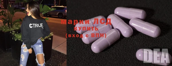 сатива Абинск