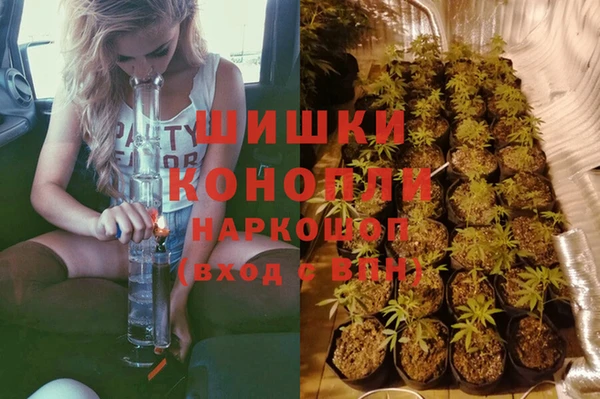 спайс Алексин