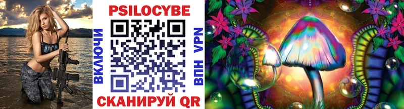 Галлюциногенные грибы Psilocybe  Игарка 